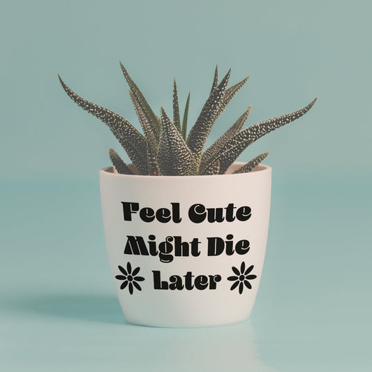 Feel Cute Might Die Plant Pot Vinyl Sticker - Funny Plant Gift, Quote Decor, House Plant Accessory, Quirky Unique Plant Flower Decal