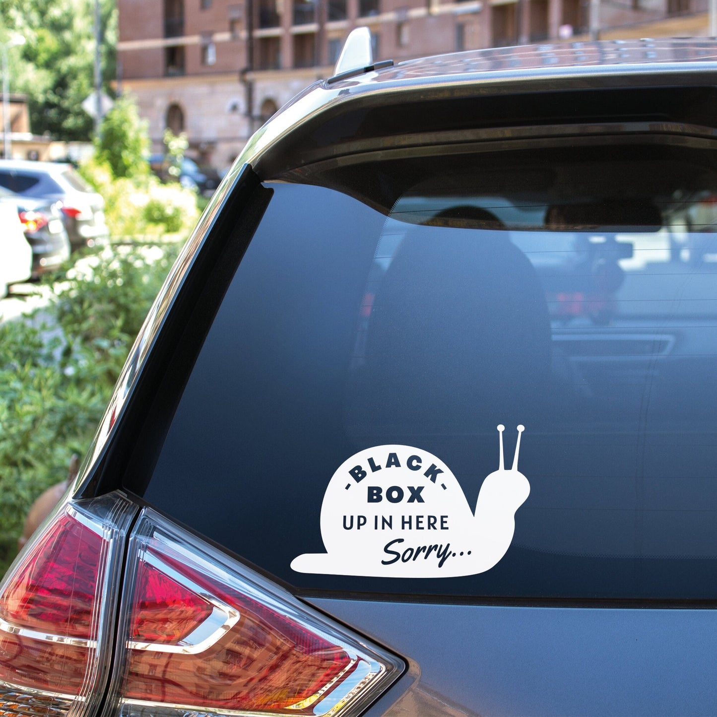 Black Box Snail Car Sticker - Funny Vinyl Decal For Car Bumper Or Rear Window, Slow car, Young Driver, Black Box Fitted, Passed Driving Test