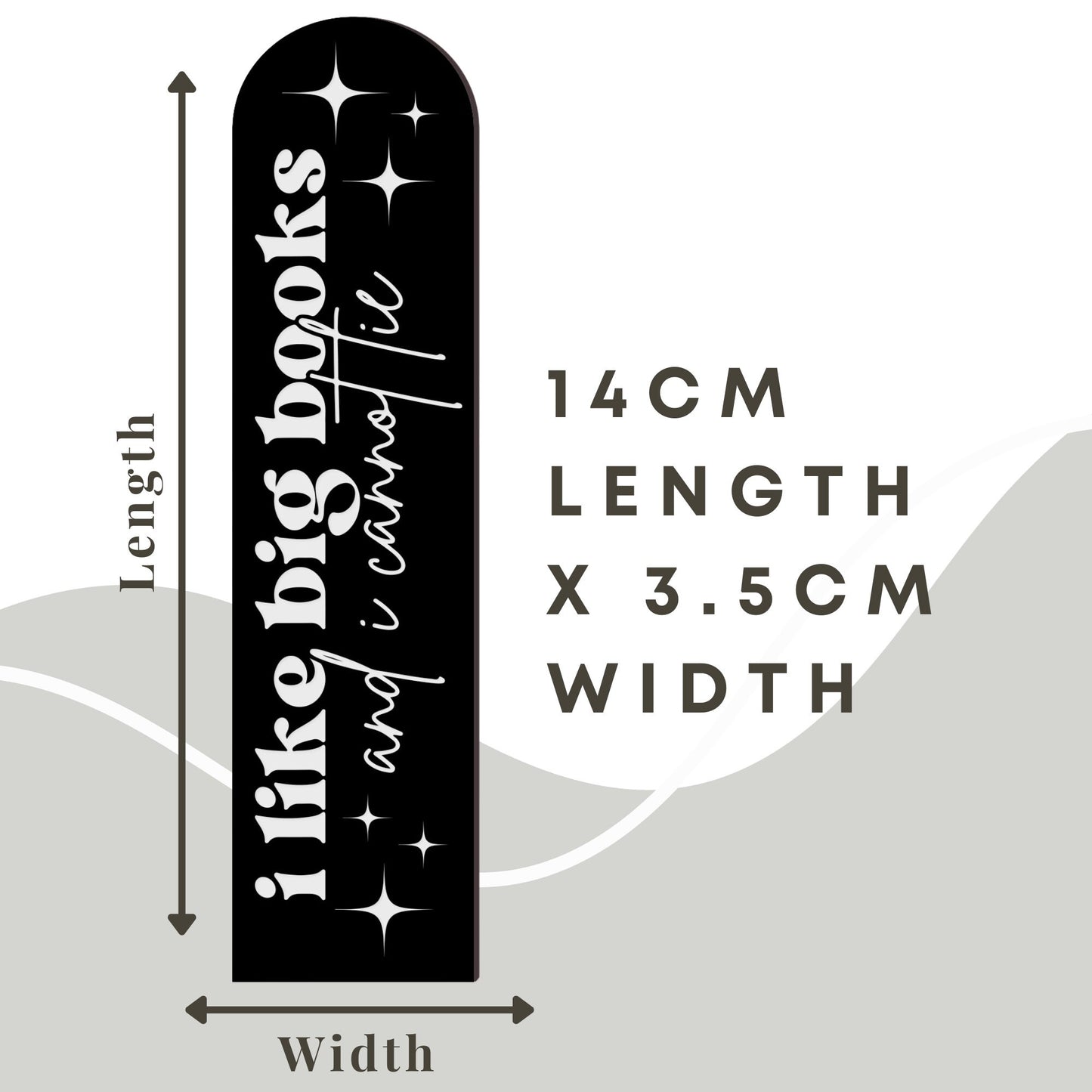 I Like Big Books and I Cannot Lie - Acrylic Bookmark - Funny Bookmark, Book Lover Gift, Cheeky Book Accessory, Small Gift, Reading Present