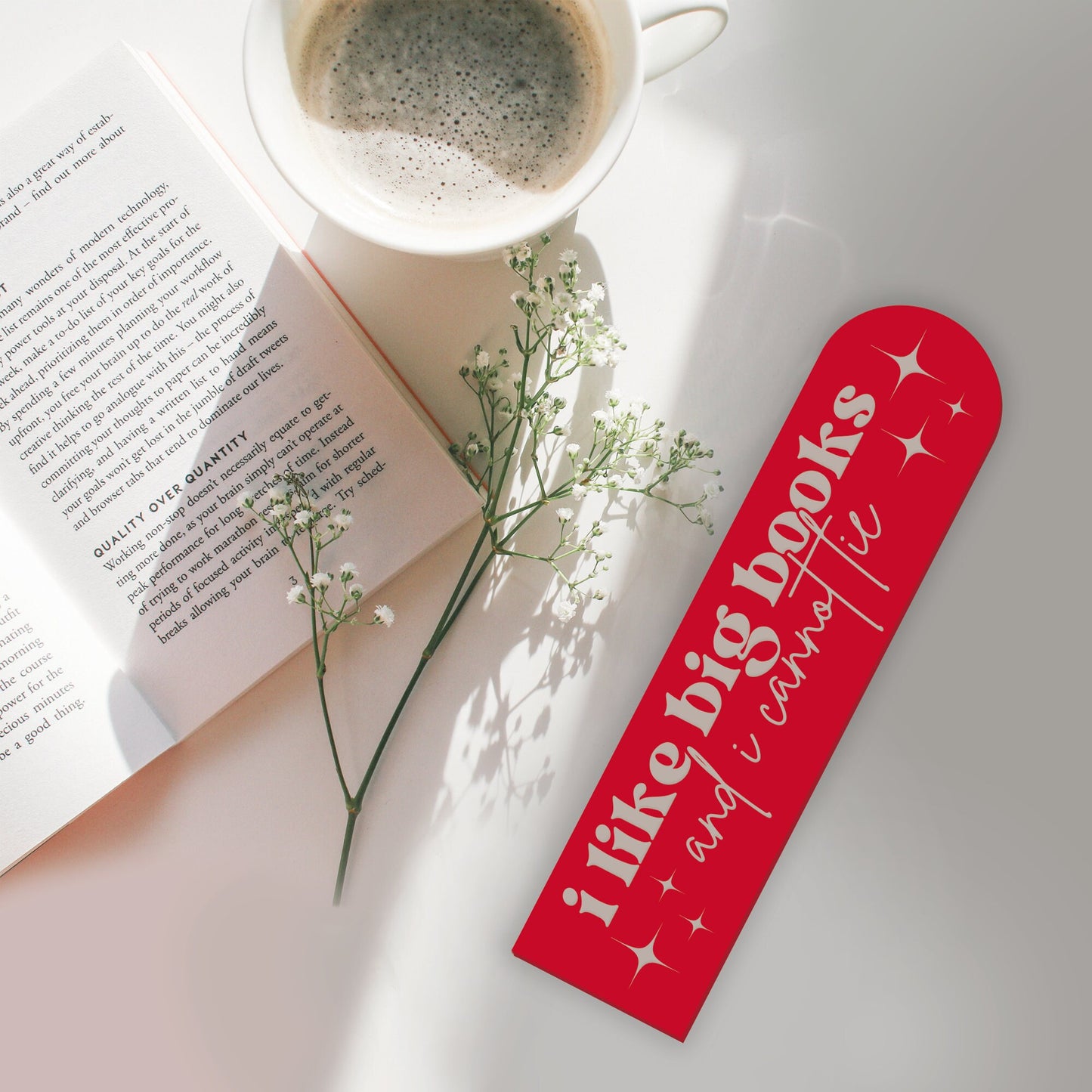 I Like Big Books and I Cannot Lie - Acrylic Bookmark - Funny Bookmark, Book Lover Gift, Cheeky Book Accessory, Small Gift, Reading Present