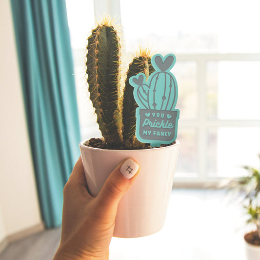 Prickle My Fancy - Acrylic Plant Tag: Funny Plant Pun, Cheeky Cactus Plaque, Gift for Valentines or Anniversary, Small Gift For Plant Lover