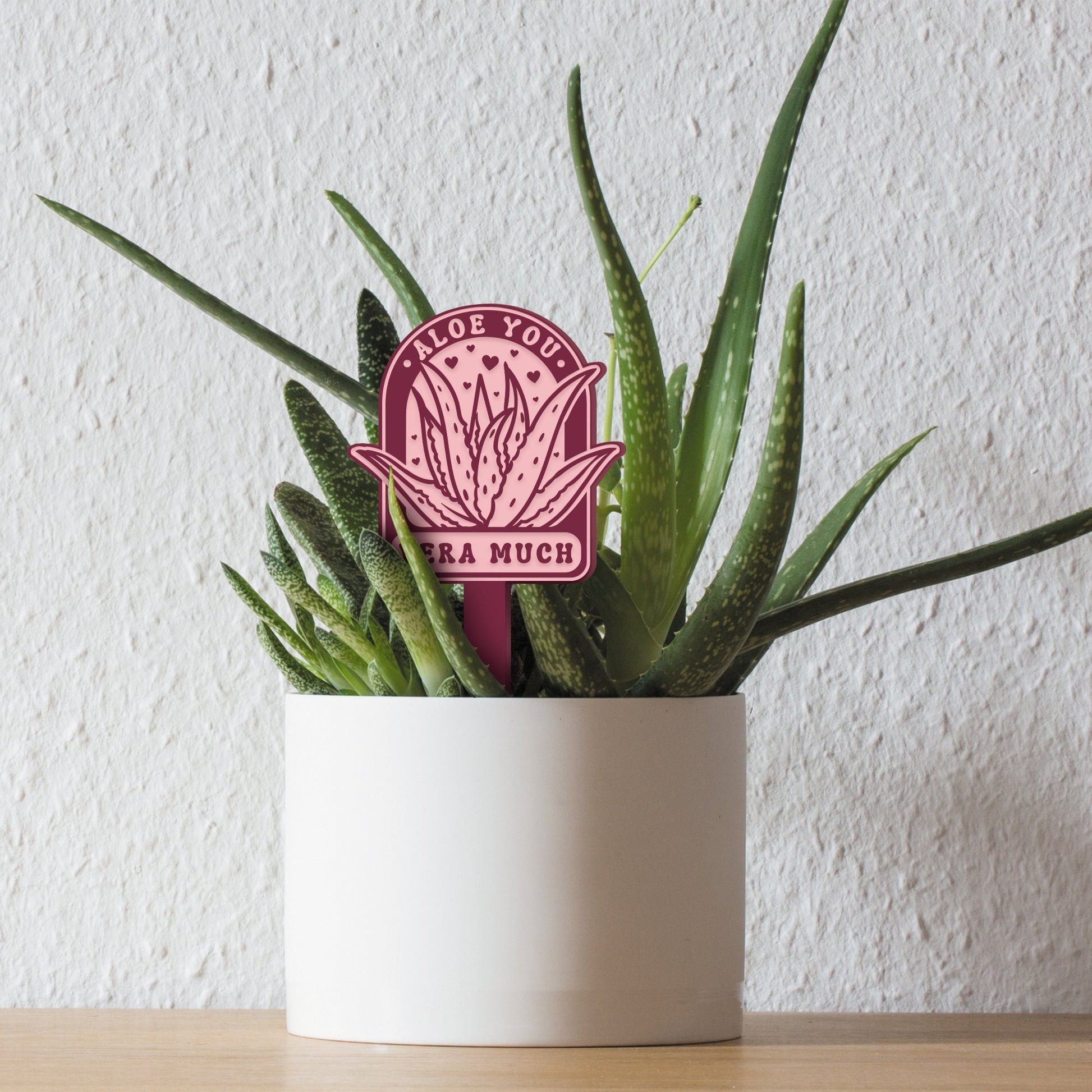aloe vera plant puns Aloe You Vera Much