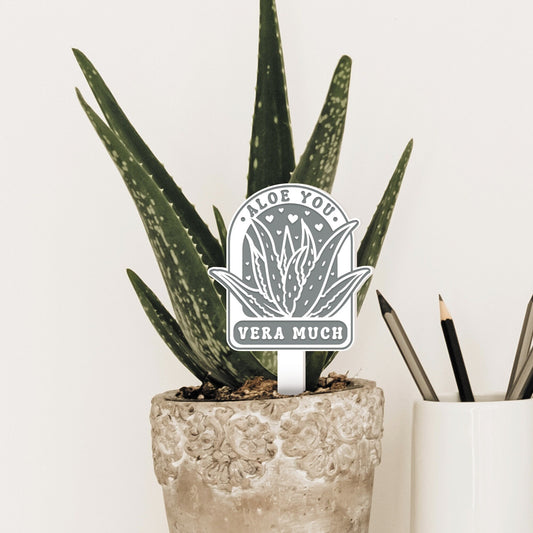 Aloe You Vera Much - Acrylic Plant Tag: Funny Plant Pun, Cute Gift for Valentine's or Anniversary, Aloe Vera, Small Gift For Plant Lover