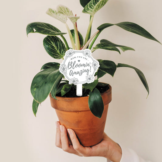 Bloomin' Amazing - Daisy Chain Plant Tag: Unique Mother's Day Gift, Cute Plant Accessory, Gift For Mum, Plant Lover, Mum Appreciation