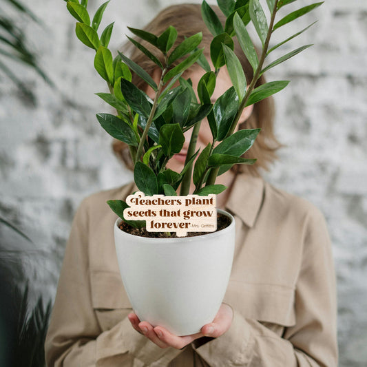 Teachers Plant Seeds That Grow Forever - Text, Plant Tag For Teacher, Wooden Plant Tag, Gift For Teacher, Teacher Appreciation, Small Gift