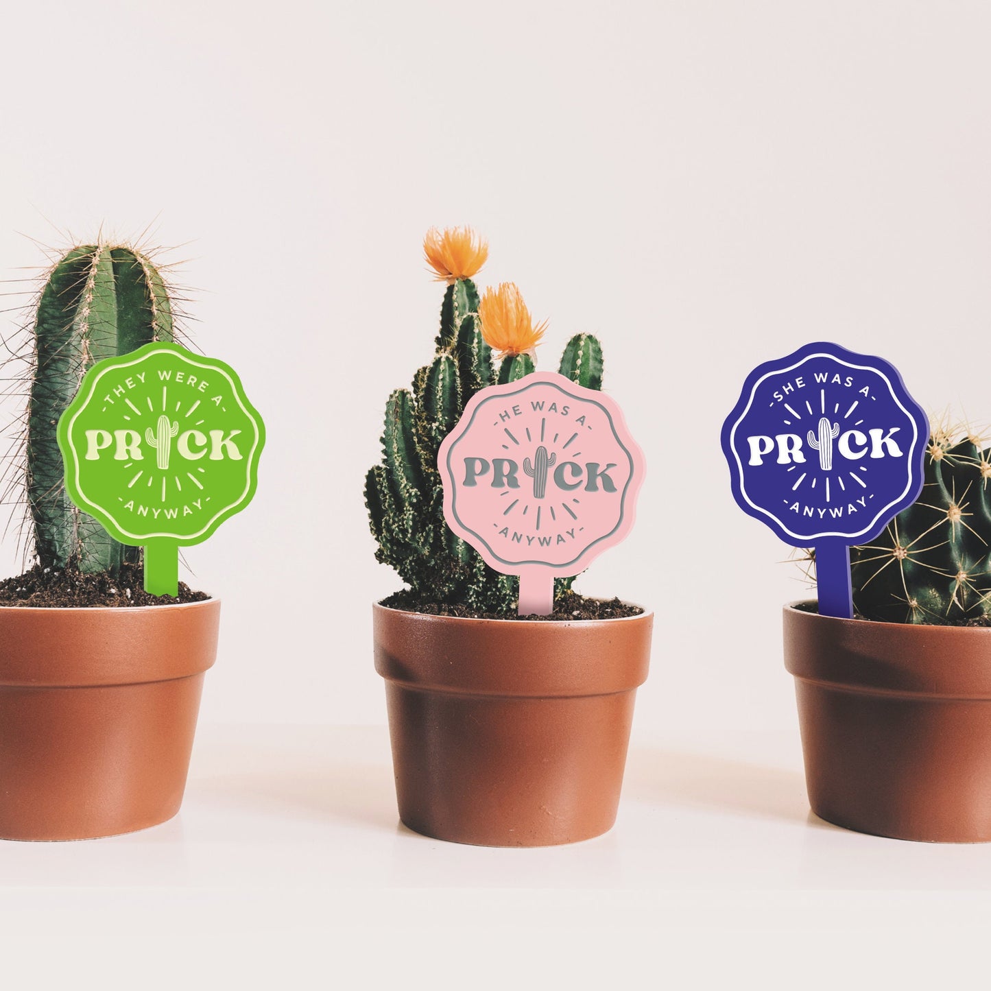 Prick Anyway - Central Cactus Plant Tag: Funny Breakup or Divorce Gift, Small Thoughtful Present, Plant Gift (3 Pronouns Available)