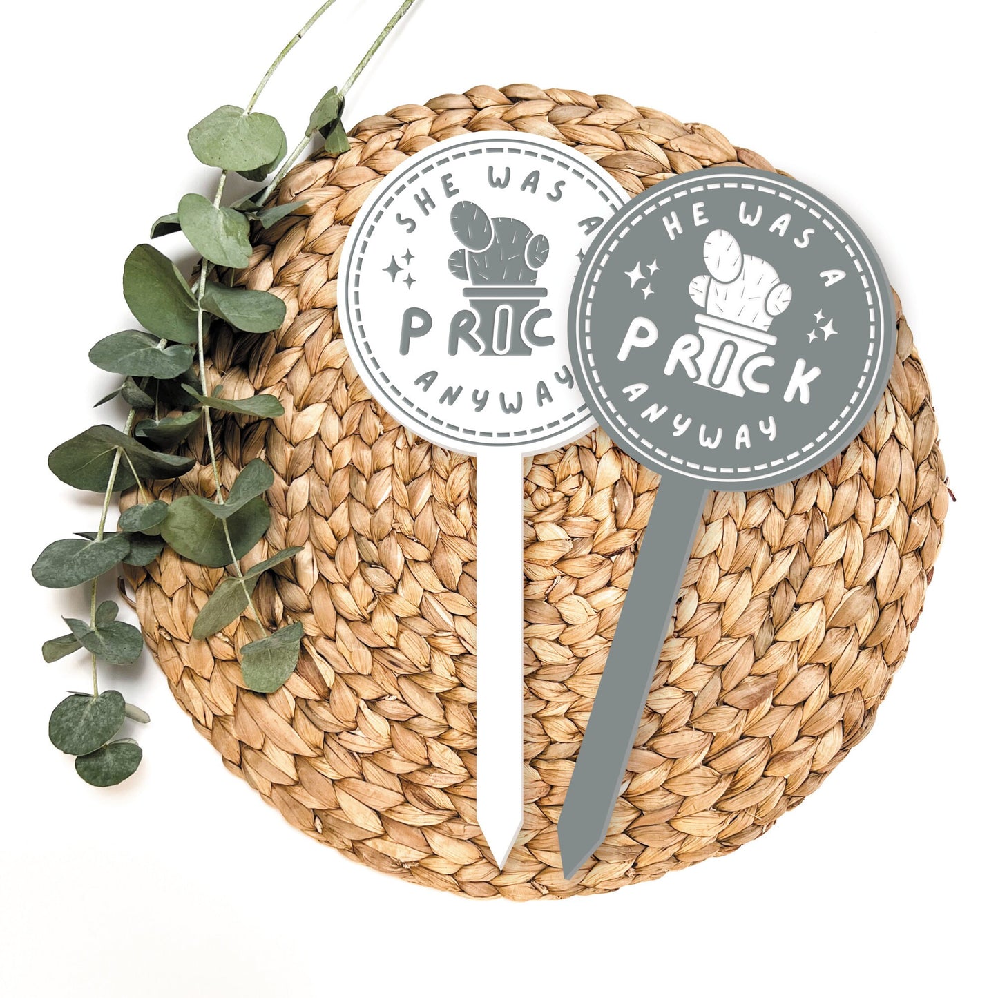 Prick Anyway - Potted Cactus Plant Tag: Funny Breakup or Divorce Gift, Small Thoughtful Present, Plant Gift (3 Pronouns Available)
