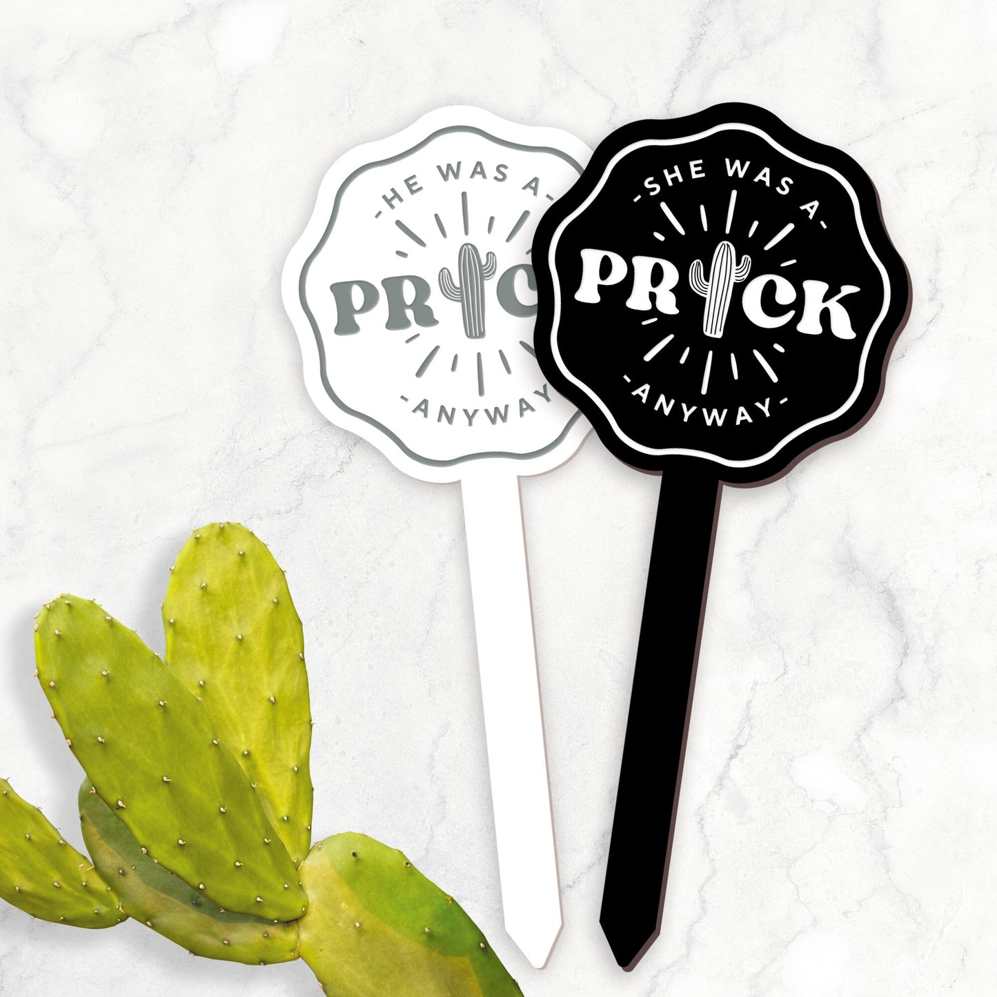 Prick Anyway - Central Cactus Plant Tag: Funny Breakup or Divorce Gift, Small Thoughtful Present, Plant Gift (3 Pronouns Available)