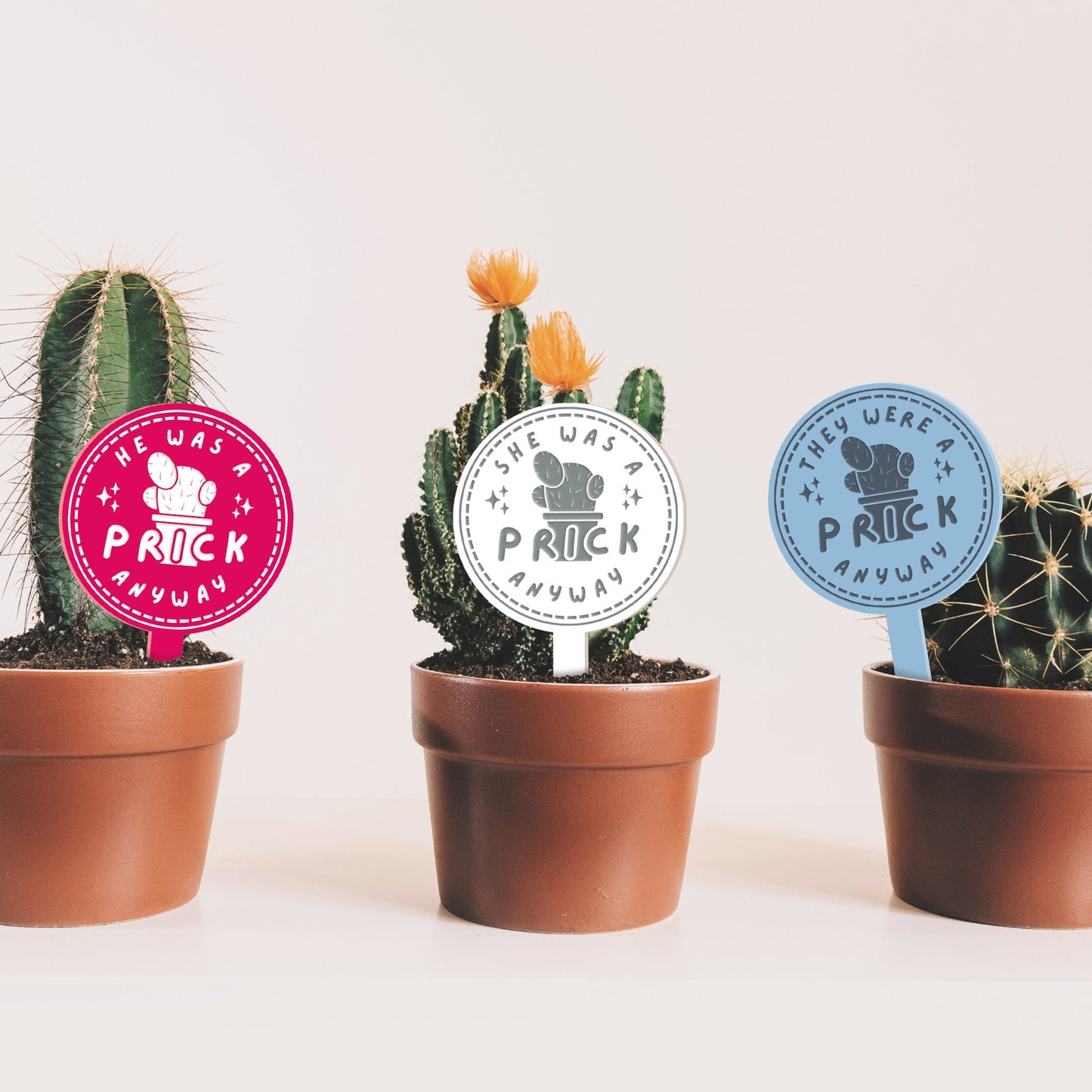 Prick Anyway - Potted Cactus Plant Tag: Funny Breakup or Divorce Gift, Small Thoughtful Present, Plant Gift (3 Pronouns Available)