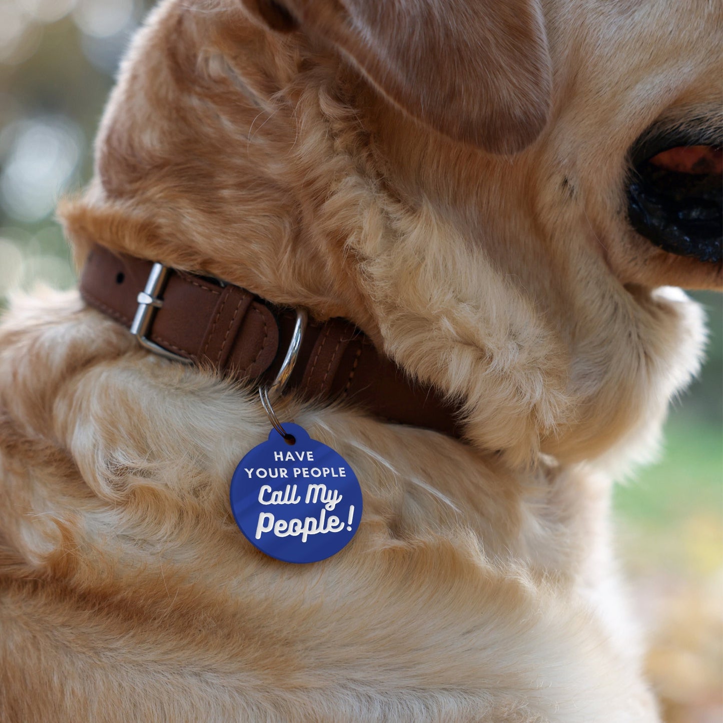 Have Your People Call My People - Personalised Dog ID Collar Tag: Funny Custom Pet Safety Accessories, New Pet Essentials, Unique Dog Gift