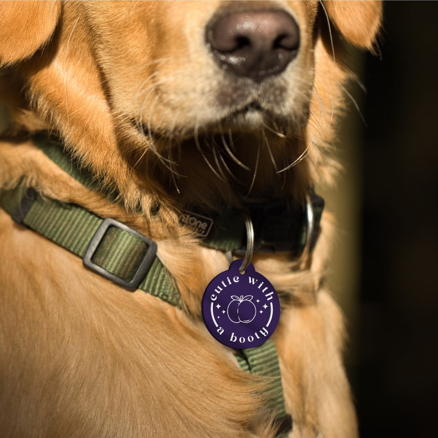 Cutie With A Booty Peach - Personalised Dog ID Collar Tag: Funny Custom Pet Safety Accessories, New Pet Essentials, Unique Dog Gift