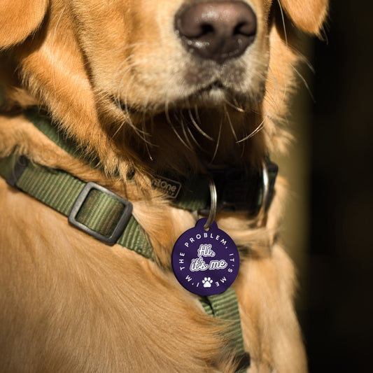 I'm The Problem - Personalised Dog ID Collar Tag: Funny Custom Pet Safety Accessories, New Pet Essentials, Unique Dog Gift