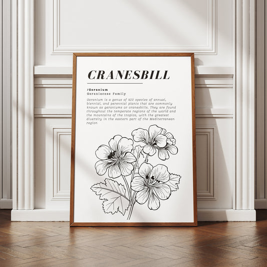 Plant Illustration - Cranesbill Poster: Botanical Print, Home Decor, Gallery Wall Art, Scientific Wall Art, Plant Lover, Nature Print