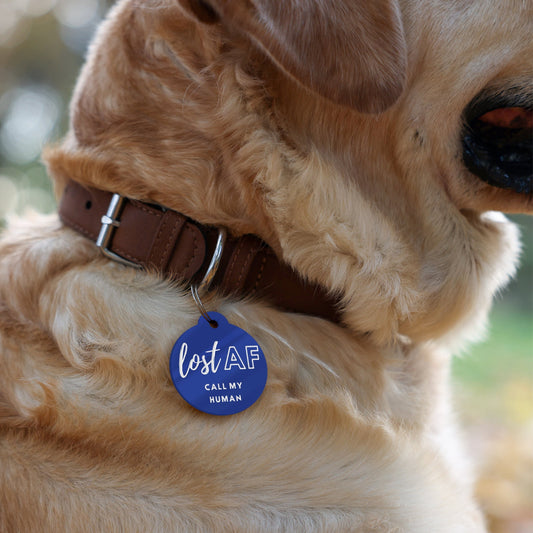 Lost AF - Personalised Dog ID Collar Tag: Funny Custom Pet Safety Accessories, New Pet Essentials, Unique Gift For Dog