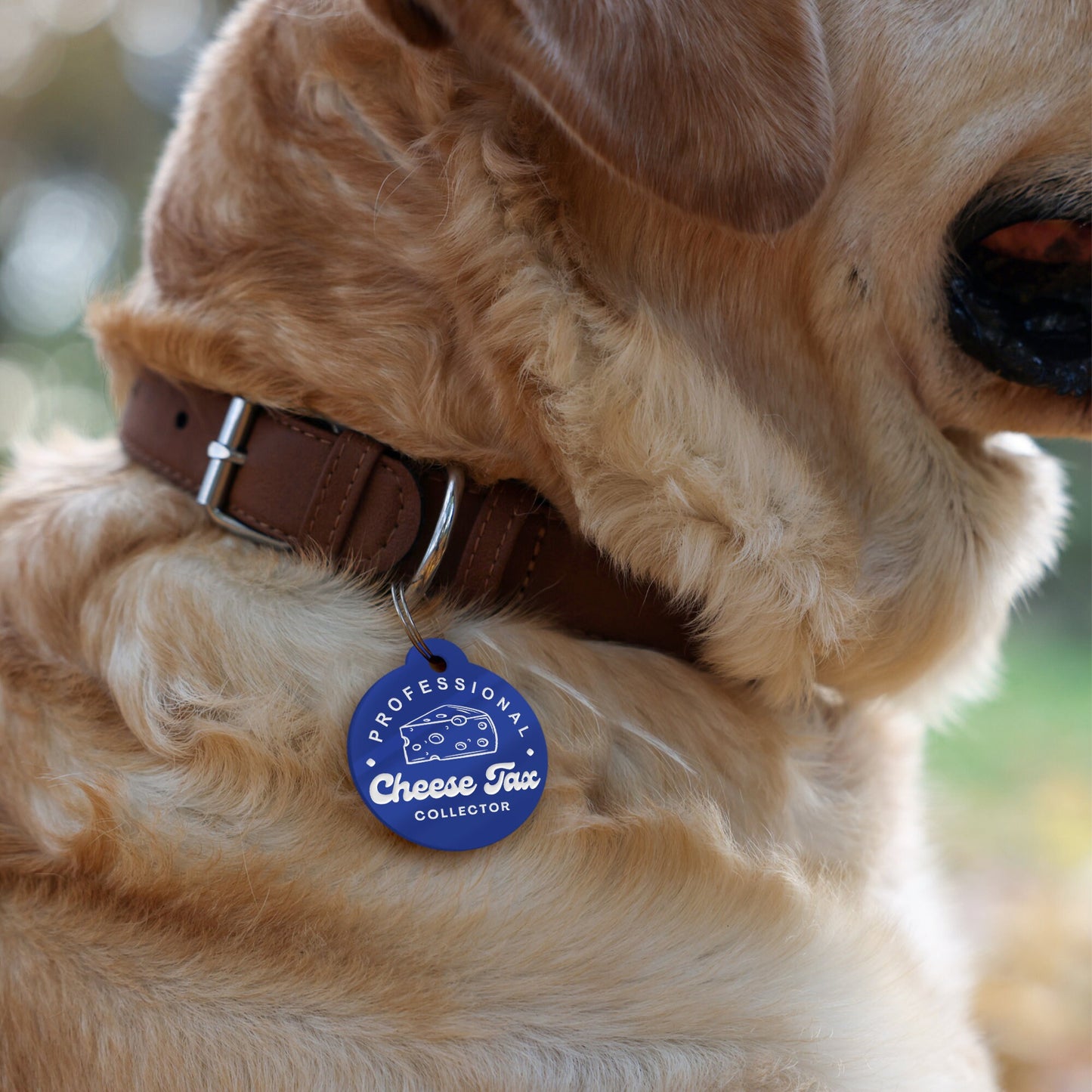 Professional Cheese Tax Collector - Personalised Dog ID Collar Tag: Funny Custom Pet Safety Accessories, New Pet Essentials, Unique Dog Gift