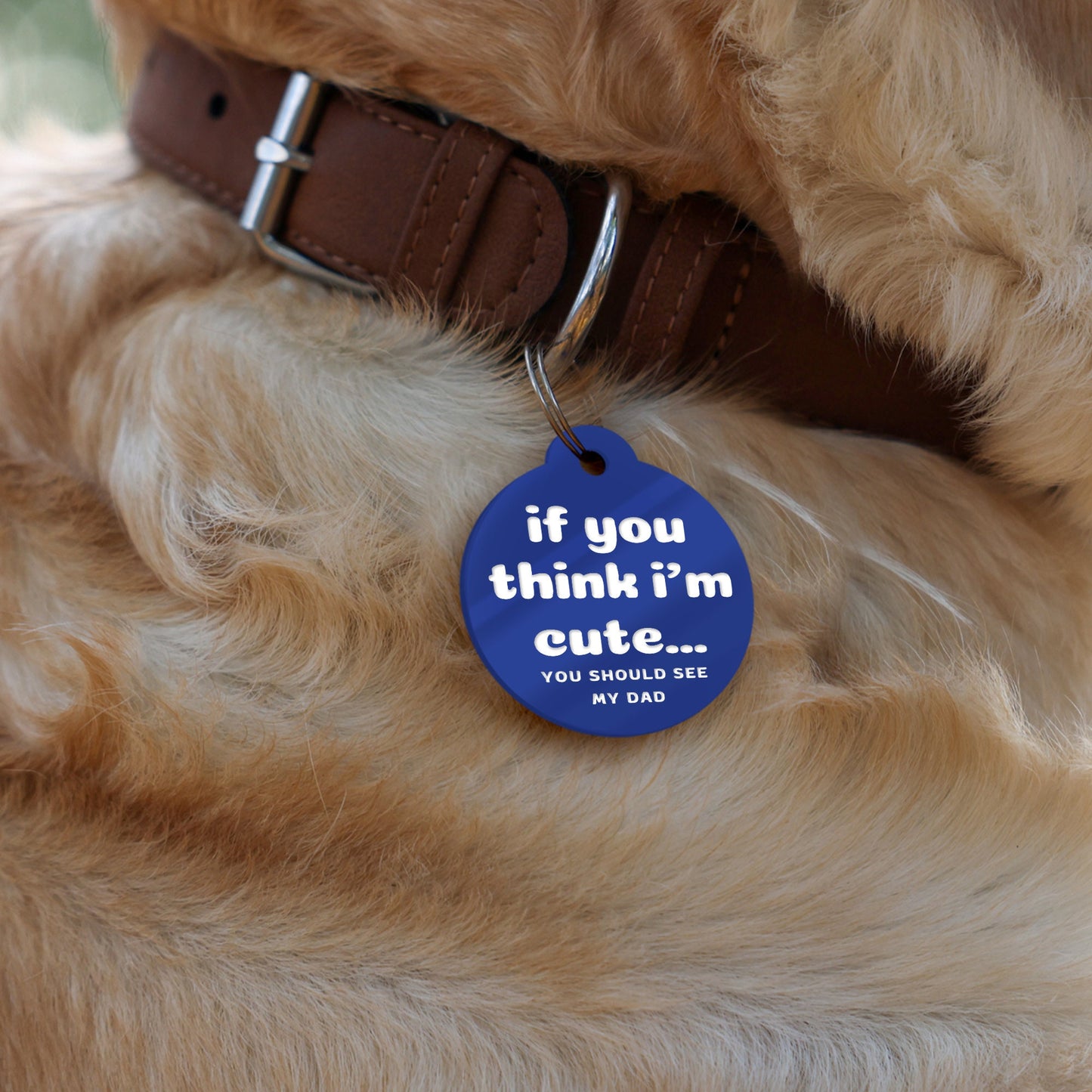 If You Think I'm Cute - Personalised Dog ID Collar Tag: Funny Custom Pet Safety Accessories, New Pet Essentials, Unique Dog Gift
