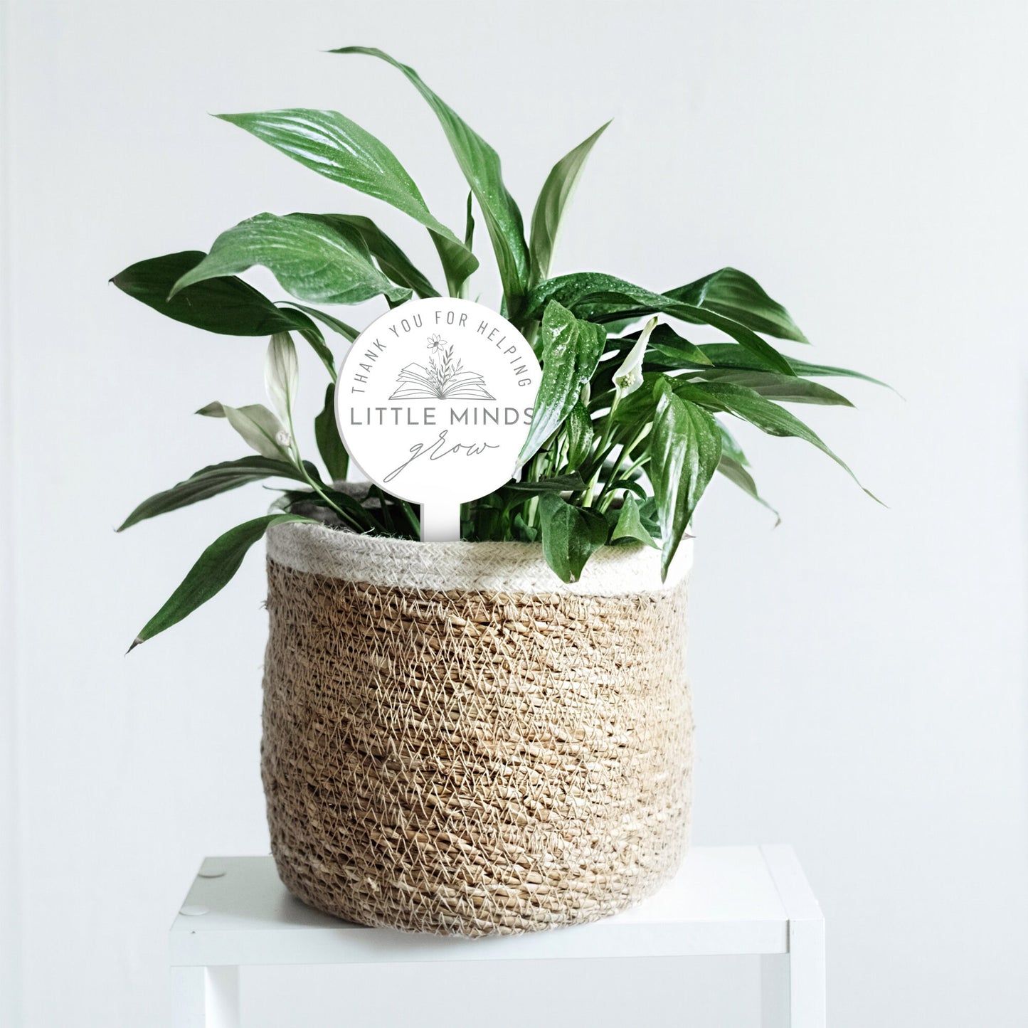 Little Minds - Book Personalised Acrylic Plant Tag: Thank You Gift for Teachers, Custom Teacher Appreciation Gift, End-of-year teacher gift