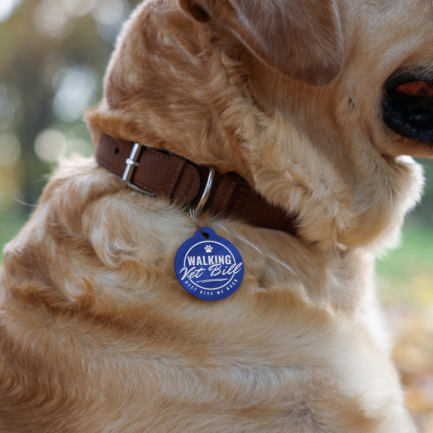 Walking Vet Bill - Personalised Dog ID Collar Tag: Funny Custom Pet Safety Accessories, New Pet Essentials, Cheeky Unique Gift For Dog