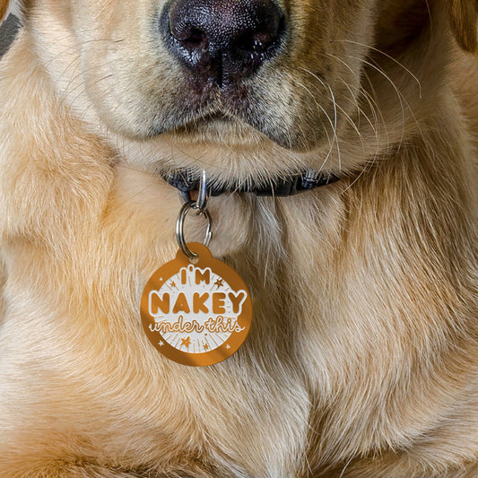 Nakey Under This - Personalised Dog ID Collar Tag: Funny Custom Pet Safety Accessories, New Pet Essentials, Cheeky Unique Gift For Dog
