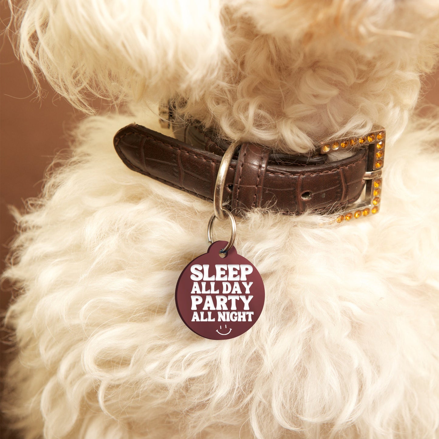 Sleep All Day, Party All Night - Personalised Dog ID Collar Tag: Custom Pet Safety Accessories, Cheeky Unique Gift For Dog, Fun & Playful ID