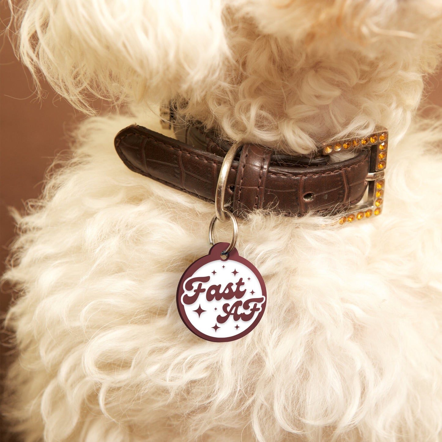Fast AF, Stars - Personalised Dog ID Collar Tag: Funny Custom Pet Safety Accessories, New Pet Essentials, Cheeky Unique Gift For Dog