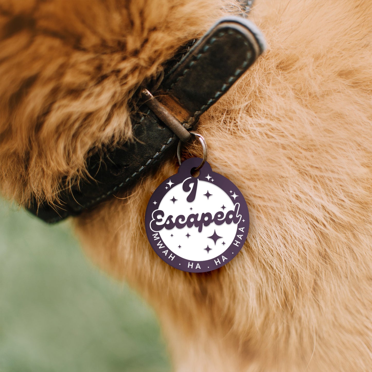 I Escaped, Mwah Ha Haa - Stars , Personalised Dog ID Collar Tag: Funny Custom Pet Accessories, New Pet Essentials,  Hilarious Custom Dog Tag