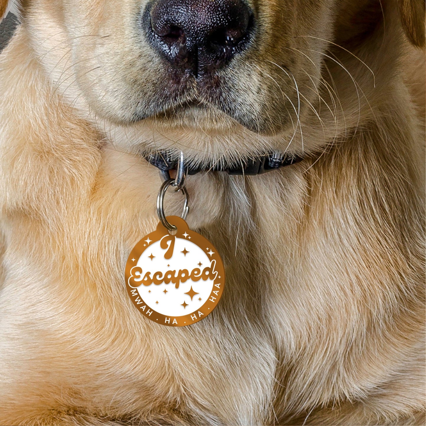 I Escaped, Mwah Ha Haa - Stars , Personalised Dog ID Collar Tag: Funny Custom Pet Accessories, New Pet Essentials,  Hilarious Custom Dog Tag