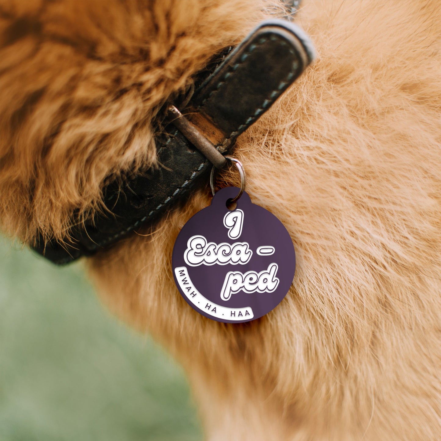 I Escaped, Mwah Ha Haa  , Personalised Dog ID Collar Tag: Funny Custom Pet Accessories, New Pet Essentials,  Hilarious Custom Dog Tag