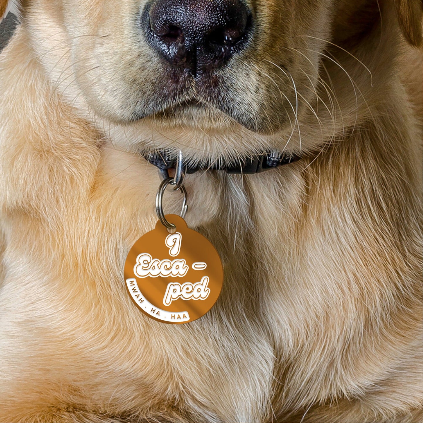 I Escaped, Mwah Ha Haa  , Personalised Dog ID Collar Tag: Funny Custom Pet Accessories, New Pet Essentials,  Hilarious Custom Dog Tag