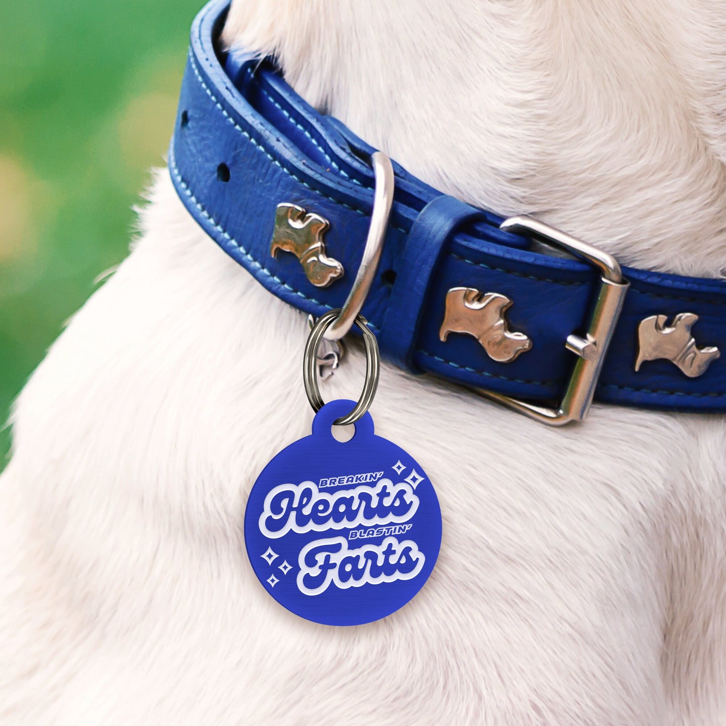 Hearts & Farts - Retro Dog Tag: Personalised Dog ID Collar Tag, Funny Custom Pet Safety Accessories, New Pet Essentials, Gift For Dog
