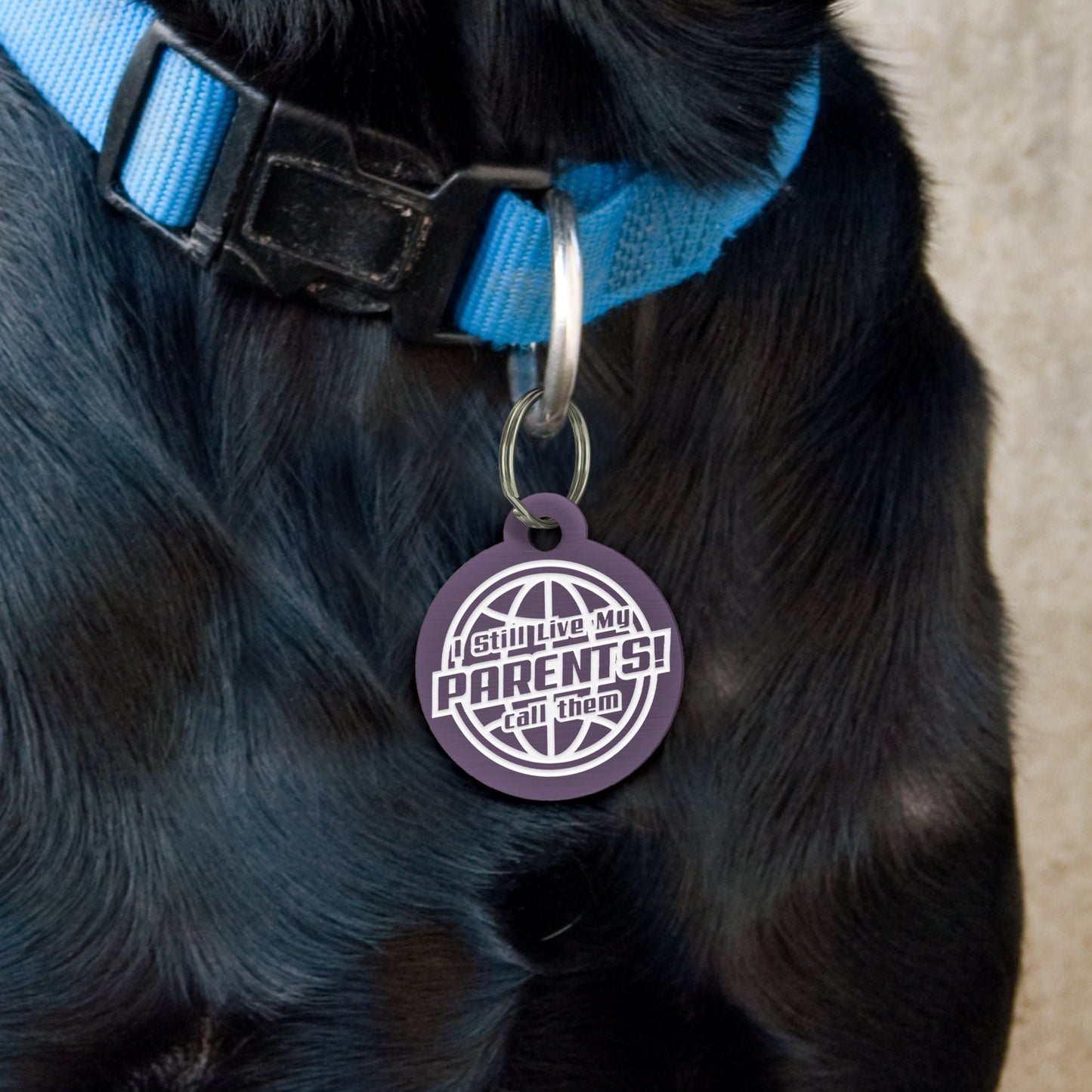 Live With My Parents - Globe Dog Tag: Personalised Dog ID Collar Tag, Funny Custom Pet Safety Accessories, New Pet Essentials, Dog Gift