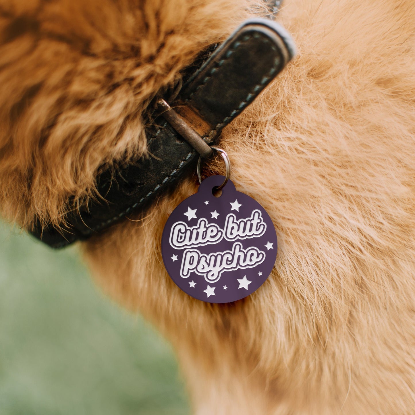 Cute But Psycho - Stars Dog Tag: Personalised Dog ID Collar Tag, Funny Custom Pet Safety Accessories, New Pet Essentials, Dog Gift