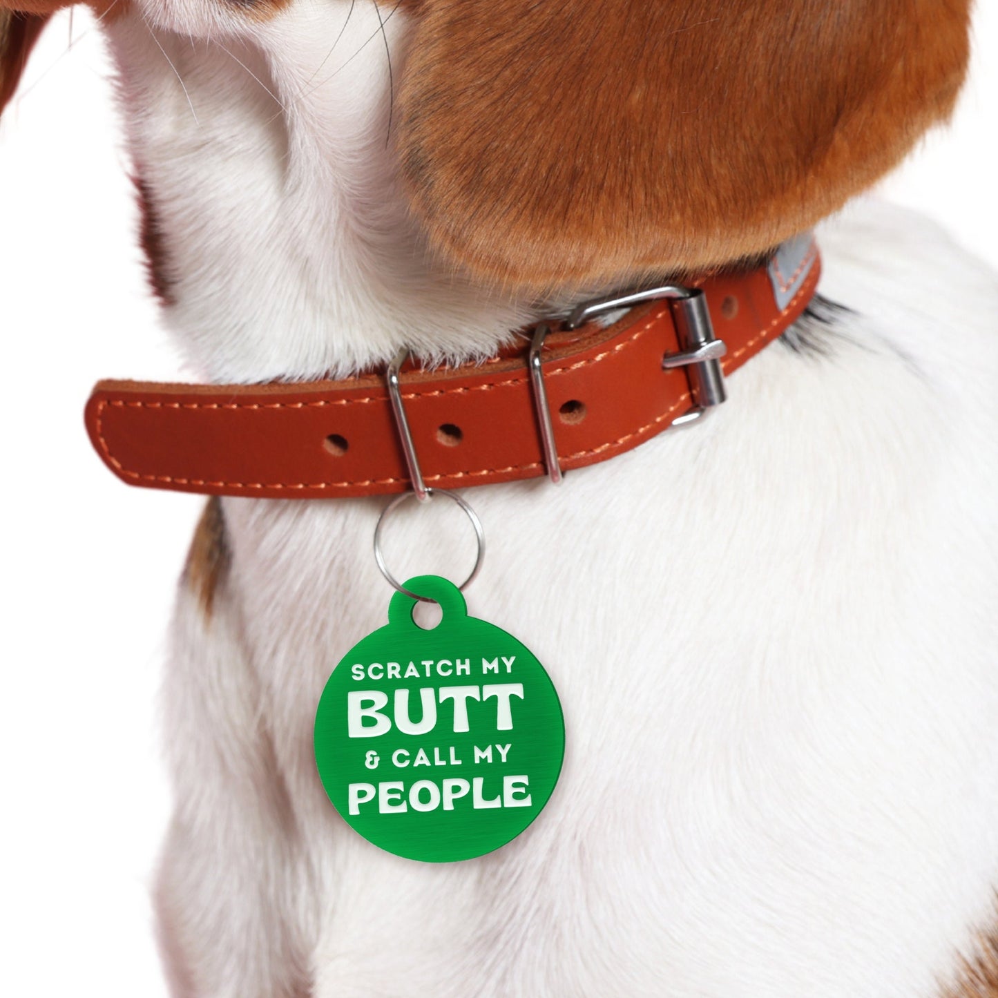Scratch My Butt  -  Original Dog Tag: Personalised Dog ID Collar Tag, Funny Custom Pet Safety Accessories, New Pet Essentials, Dog Gift