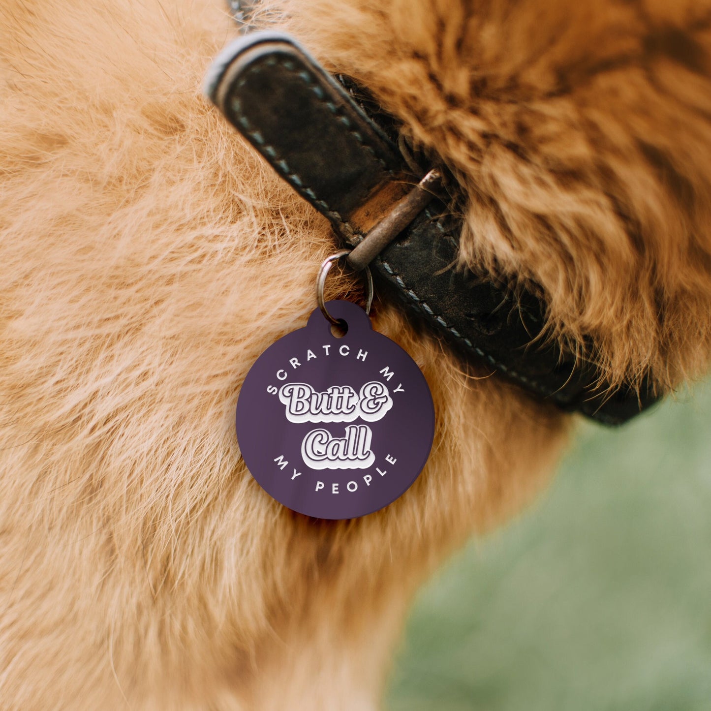 Scratch My Butt - Magnolia Dog Tag: Personalised Dog ID Collar Tag, Funny Custom Pet Safety Accessories, New Pet Essentials, Dog Gift