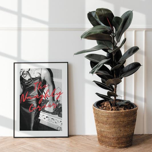 The Naughty Corner 06 Poster: Home Print, Unique Home Decor, Modern Wall Art, Wall Art, Playful Decor, Quote Print, Funny Home Sign Prints