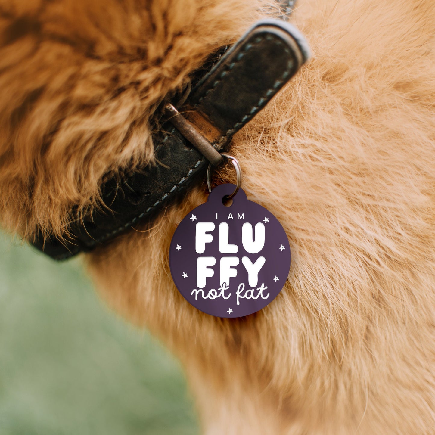 I'm Fluffy Not Fat - Personalised Dog Collar ID Tag: Custom Pet Safety Accessories, Cheeky Unique Gift For Dog, Hilariously Unique Pet ID