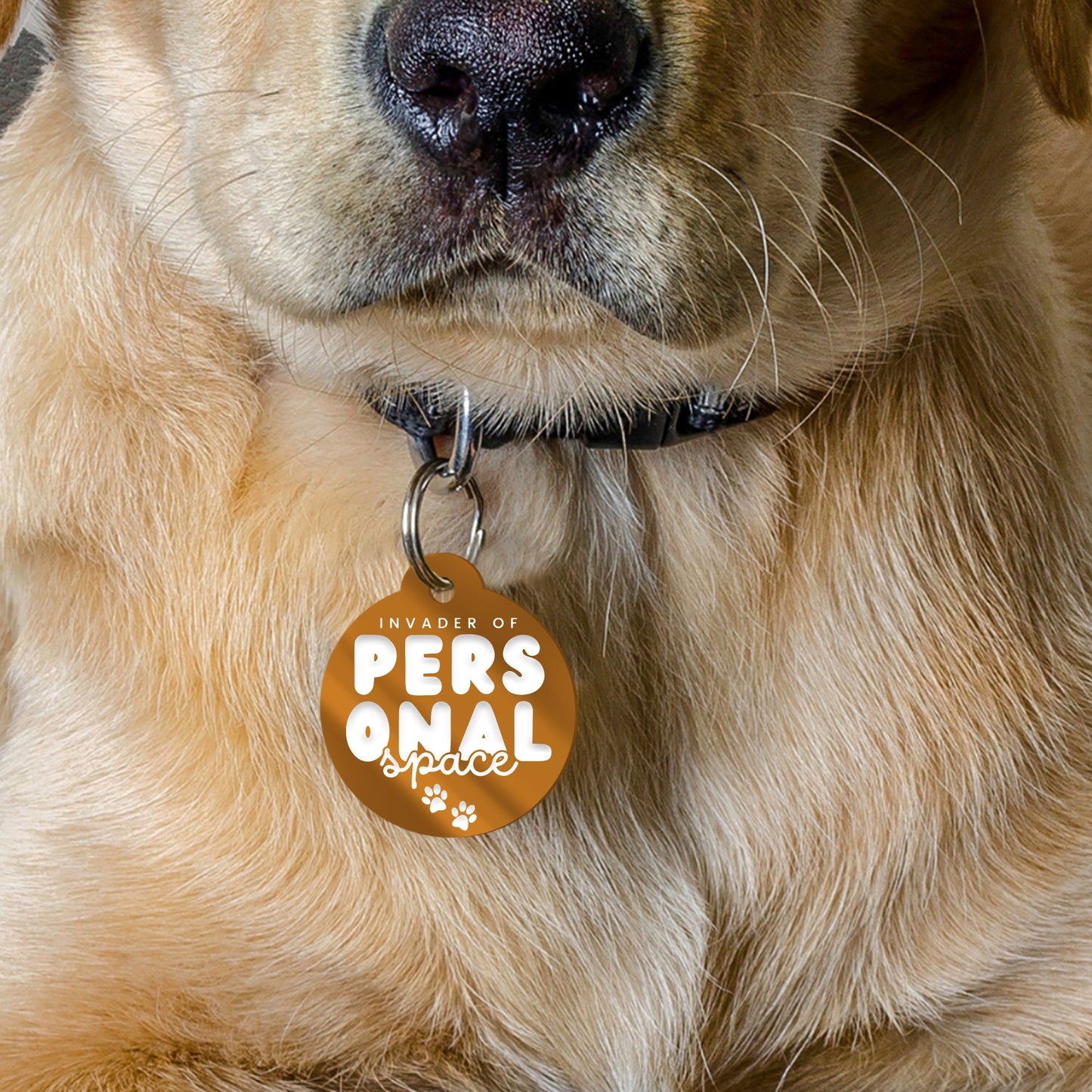 Invader Of Personal Space - Personalised Dog ID Tag: Custom Pet Safety Accessories, Cheeky Unique Gift For Dog, Hilariously Unique Pet ID