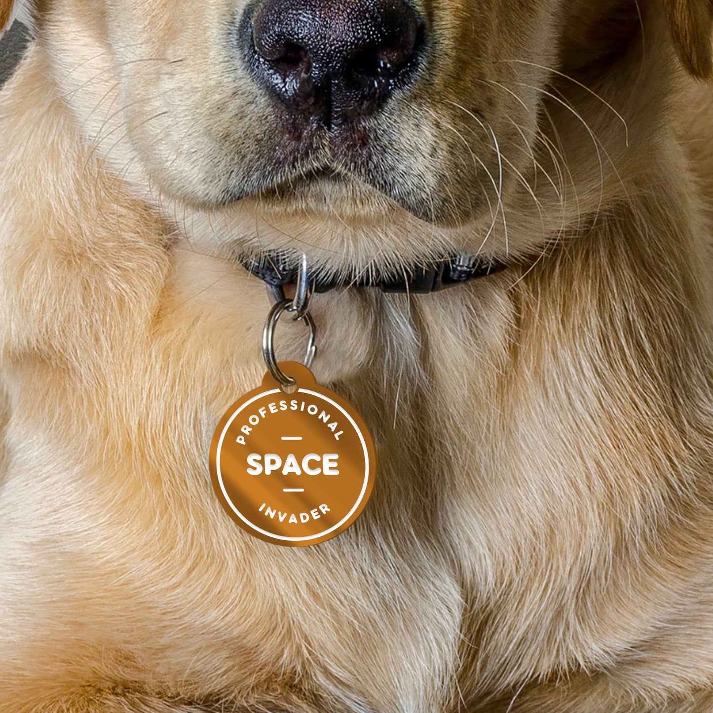 Professional Space Invader - Personalised Dog ID Tag: Custom Pet Safety Accessories, Cheeky Unique Gift For Dog, Hilariously Unique Pet ID