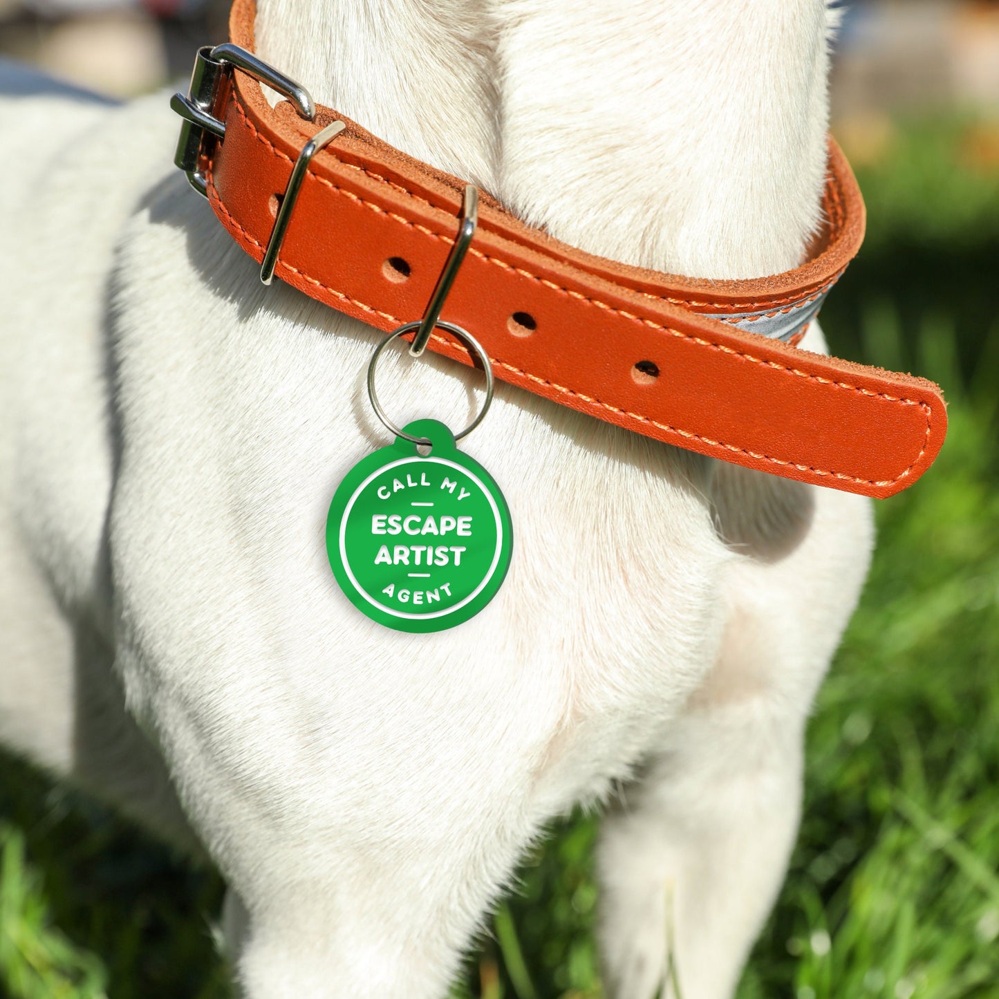 Escape Artist - Text, Personalised Dog ID Collar Tag: Funny Custom Pet Safety Accessories, New Pet Essentials, Unique Gift For Dog