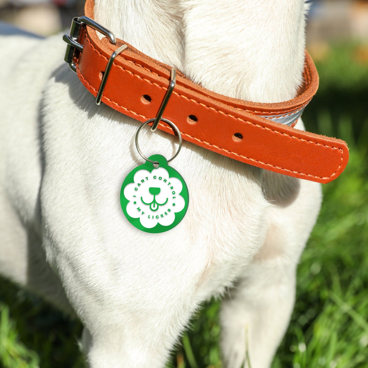 I Can't Control My Licker - Mouth, Personalised Dog Collar Tag: Funny Custom Pet Safety Accessories, New Pet Essentials, Unique Gift For Dog