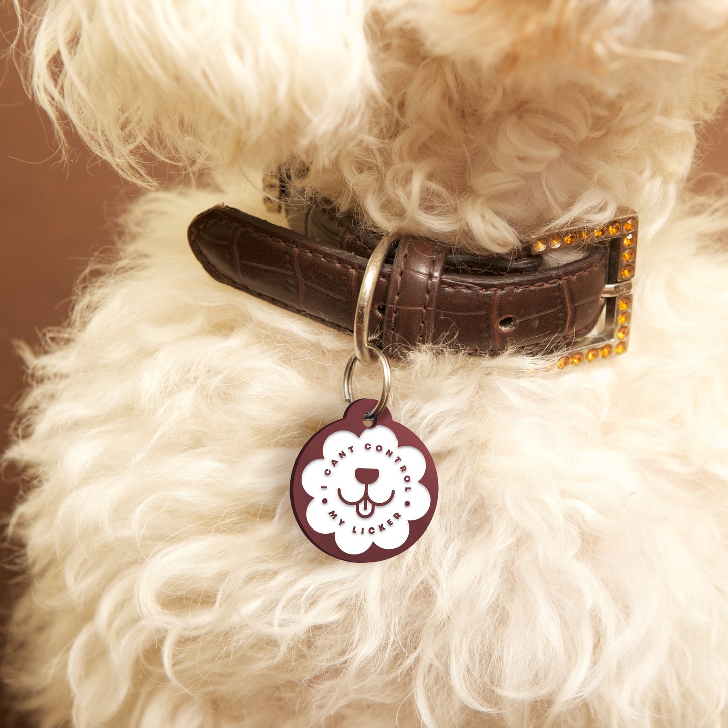 I Can't Control My Licker - Mouth, Personalised Dog Collar Tag: Funny Custom Pet Safety Accessories, New Pet Essentials, Unique Gift For Dog