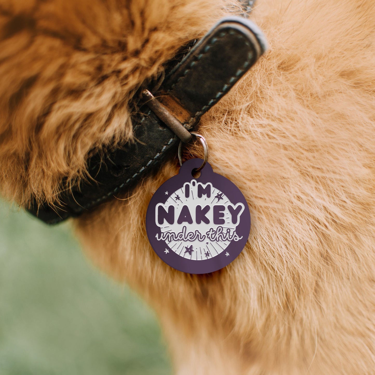 Nakey Under This - Personalised Dog ID Collar Tag: Funny Custom Pet Safety Accessories, New Pet Essentials, Cheeky Unique Gift For Dog