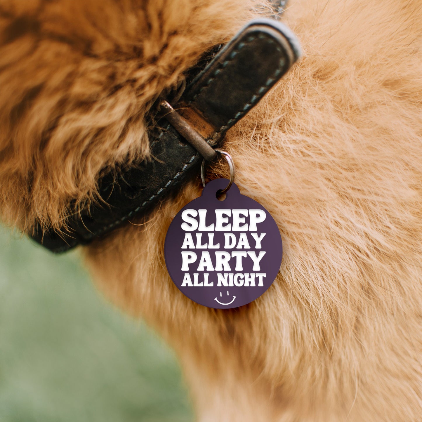 Sleep All Day, Party All Night - Personalised Dog ID Collar Tag: Custom Pet Safety Accessories, Cheeky Unique Gift For Dog, Fun & Playful ID