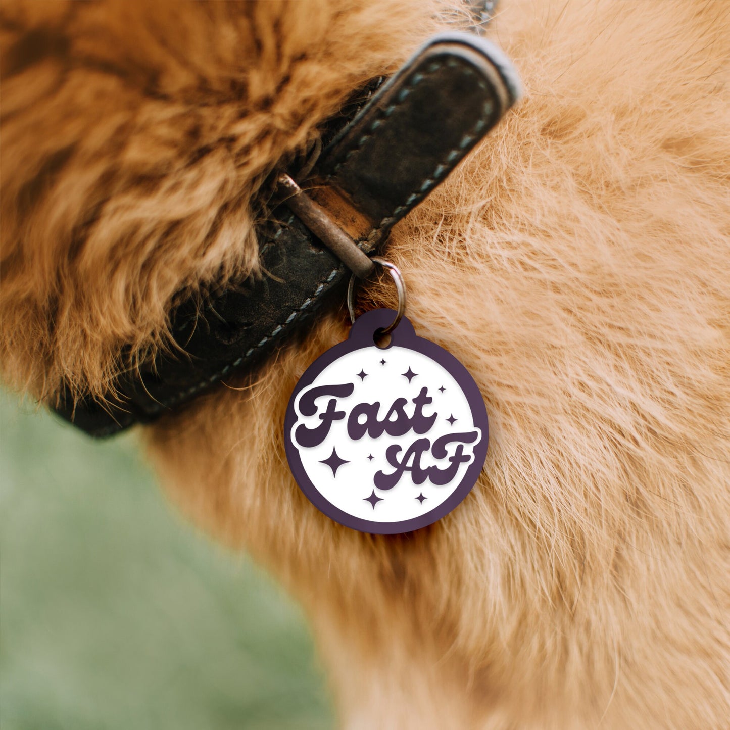 Fast AF, Stars - Personalised Dog ID Collar Tag: Funny Custom Pet Safety Accessories, New Pet Essentials, Cheeky Unique Gift For Dog