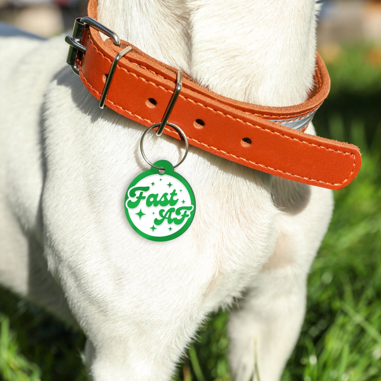 Fast AF, Stars - Personalised Dog ID Collar Tag: Funny Custom Pet Safety Accessories, New Pet Essentials, Cheeky Unique Gift For Dog