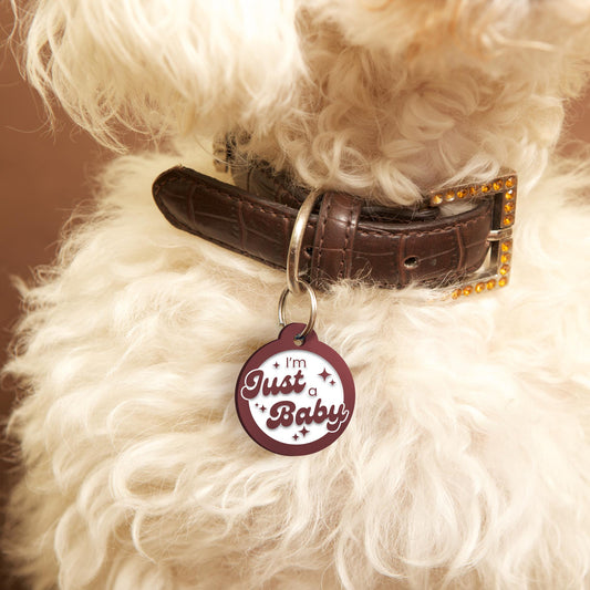 I'm Just A Baby - Retro Personalised Dog ID Collar Tag: Fun Custom Pet Safety Accessories, New Pet Essentials, Unique Gift For Dog