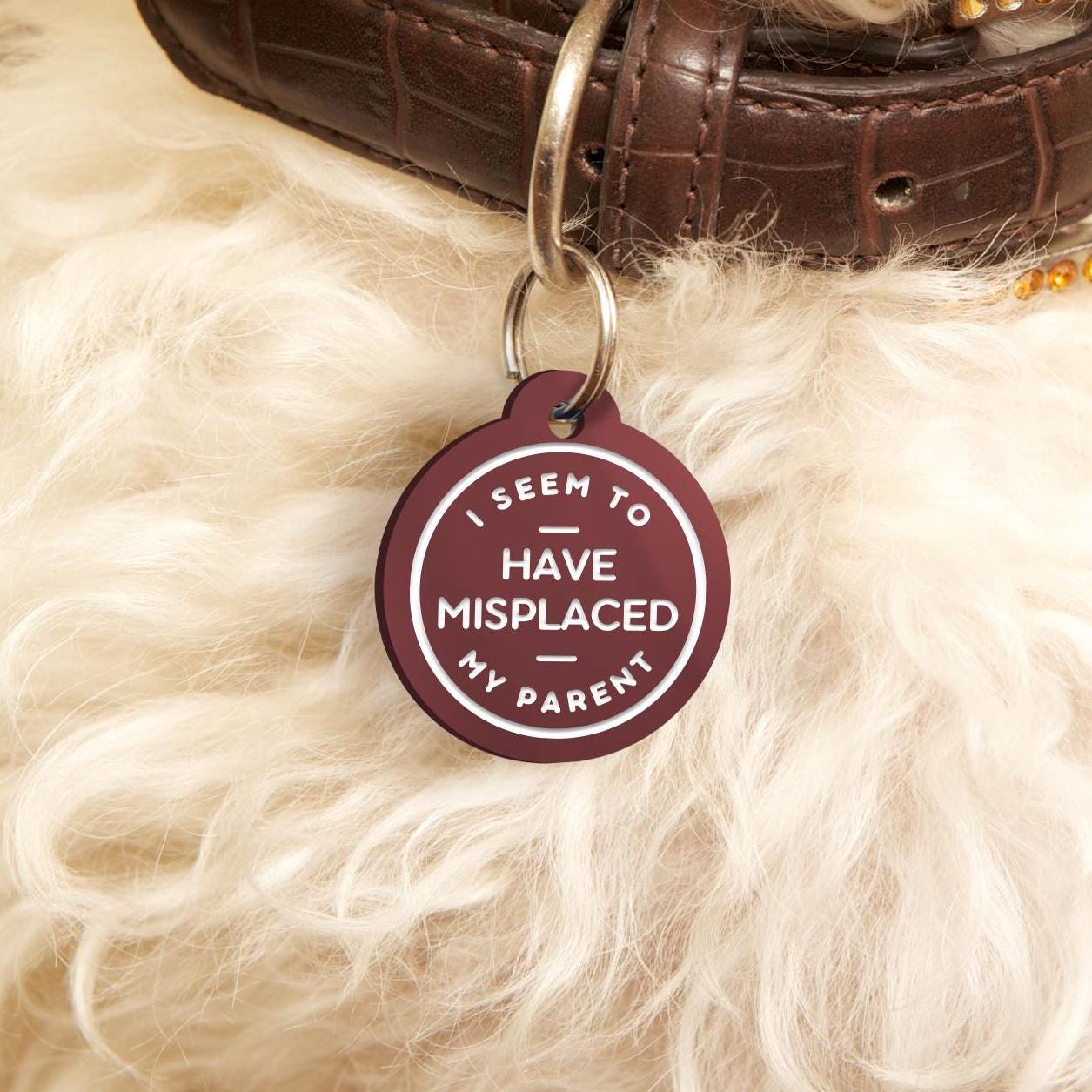 I Have to Seem To Misplaced My Parent, Text Custom Dog ID Collar Tag: Fun Pet Safety Accessories, New Pet Essentials, Unique Gift For Dog