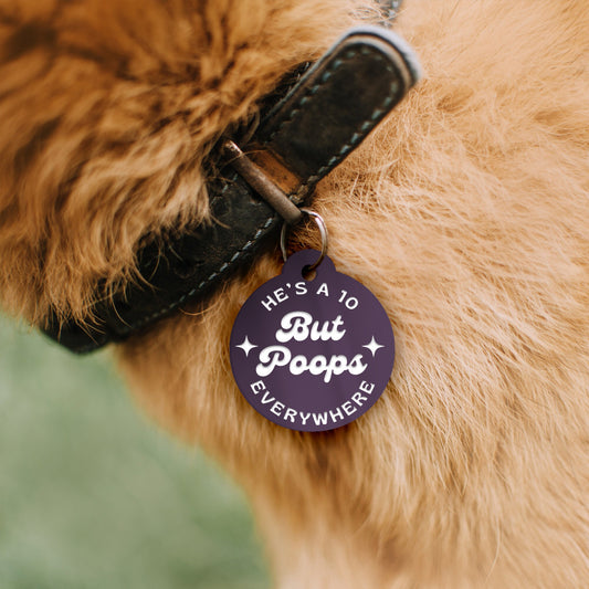 He's A 10 But Poops Everywhere, Personalised Dog ID Collar Tag: Funny Custom Pet Accessories, New Pet Essentials, Stars Design