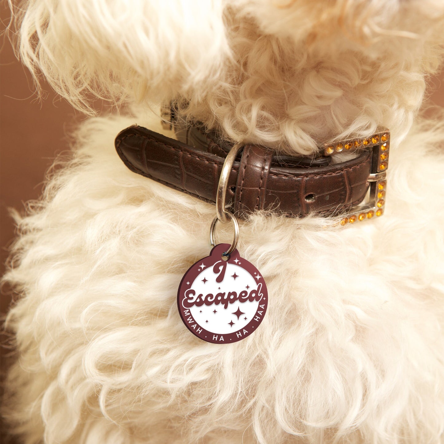 I Escaped, Mwah Ha Haa - Stars , Personalised Dog ID Collar Tag: Funny Custom Pet Accessories, New Pet Essentials,  Hilarious Custom Dog Tag