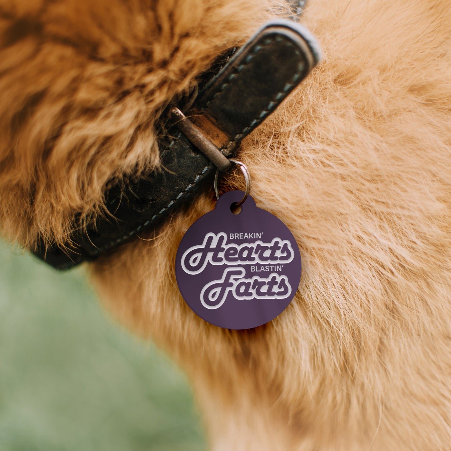 Hearts & Farts - Harlow Dog Tag: Personalised Dog ID Collar Tag, Funny Custom Pet Safety Accessories, New Pet Essentials, Gift For Dog